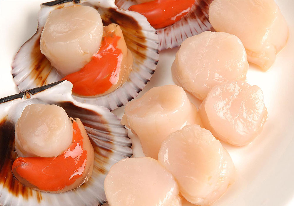 Scallops