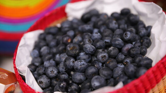 "Reyes del Sol: Your key to unlocking the potential of the Peruvian blueberry export market, the leading agro-export of the country"